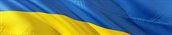 Oekraiense vlag 3